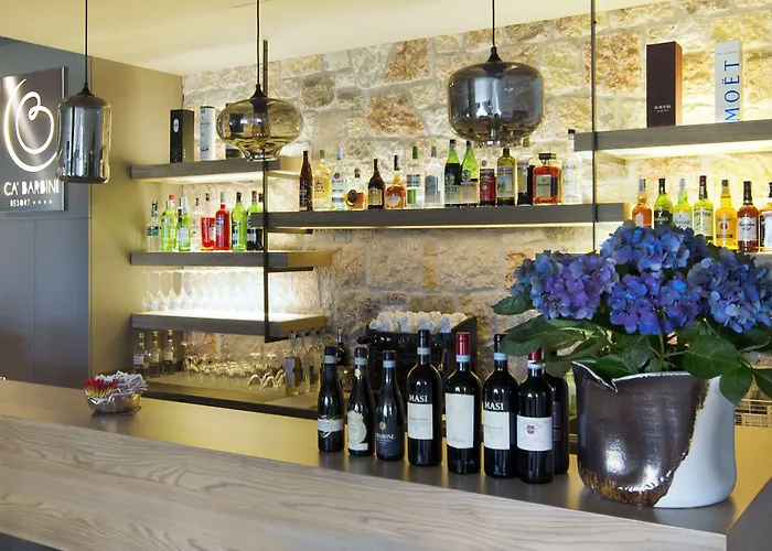 Hotel Ca' Barbini 4*